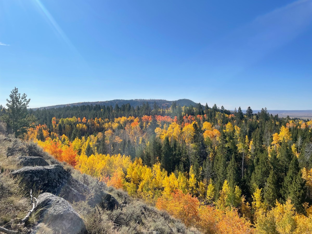 What Does Your Land Ethic Say About&nbsp;You?